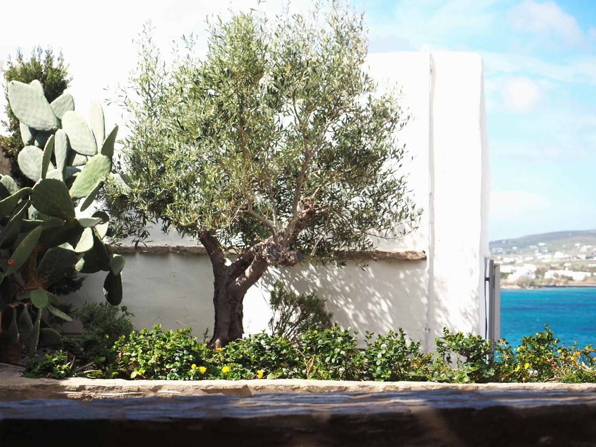 Ochre Dream, Beach Front & Sunset Villa Naousa 客房 照片